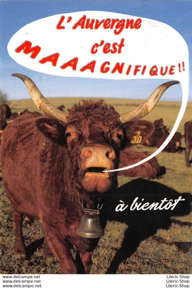 AUVERGNE►CPM►2000►L'AUVERGNE....C'EST MAGNIFIQUE►VACHES DE RACE SALERS►ARTIS - Auvergne