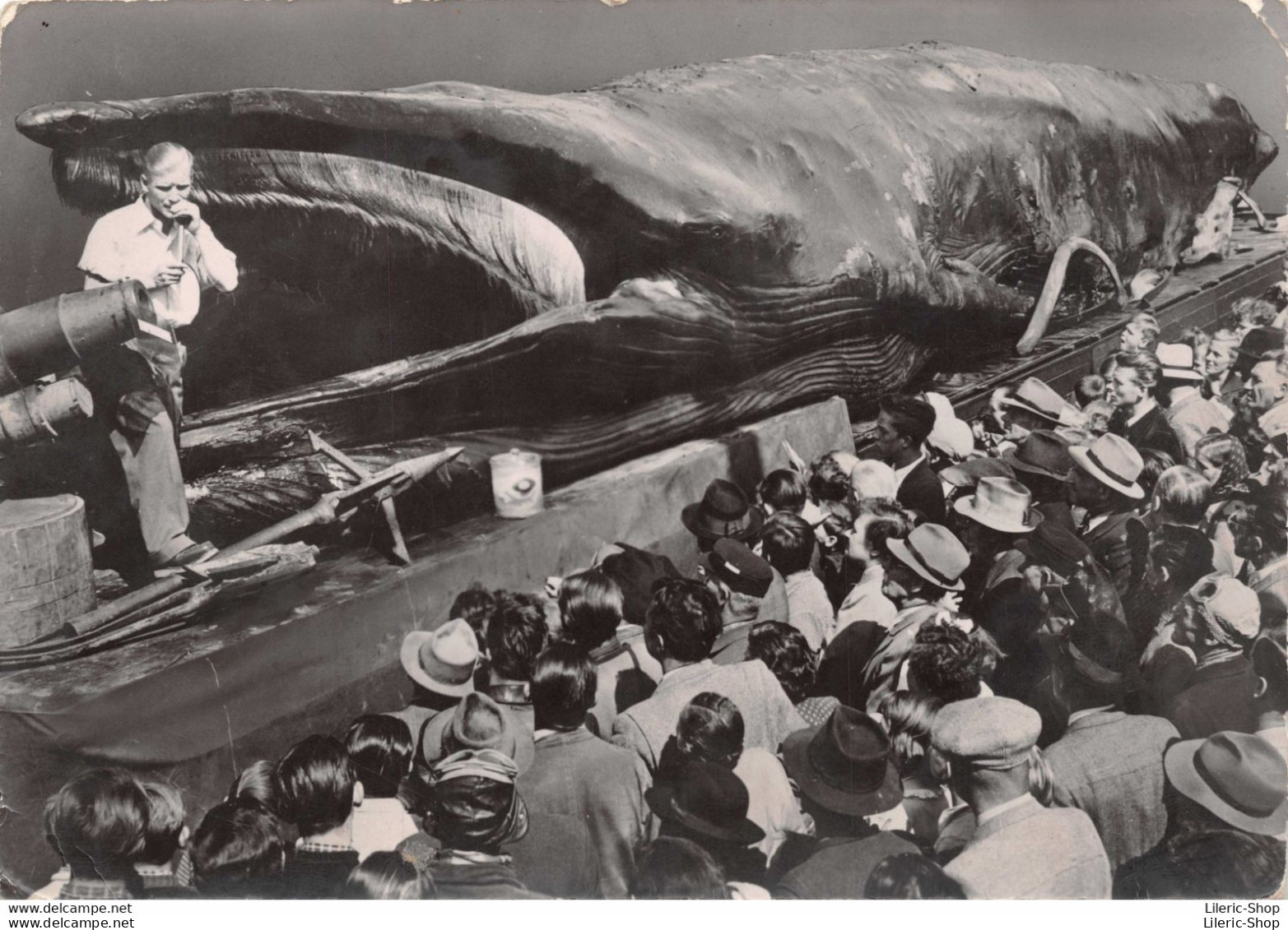 Exposition De La Baleine Géante Jonas à L'Esplanade Des Invadides En 1953  Cpsm GF - Sonstige & Ohne Zuordnung