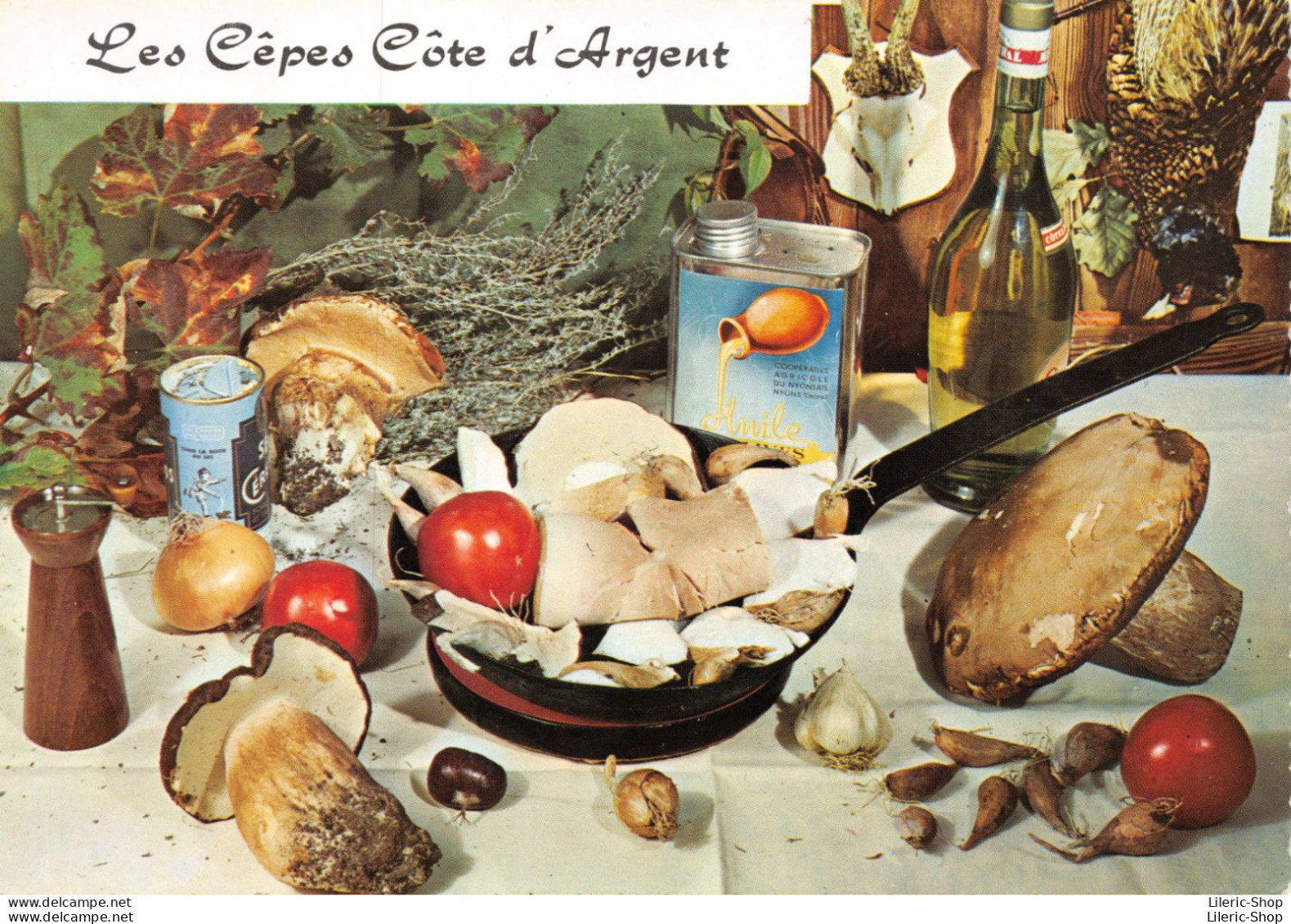 Recette De Cuisine - Les Cèpes Côte D'Argent - Cpsm GF Dentelée - Recettes (cuisine)