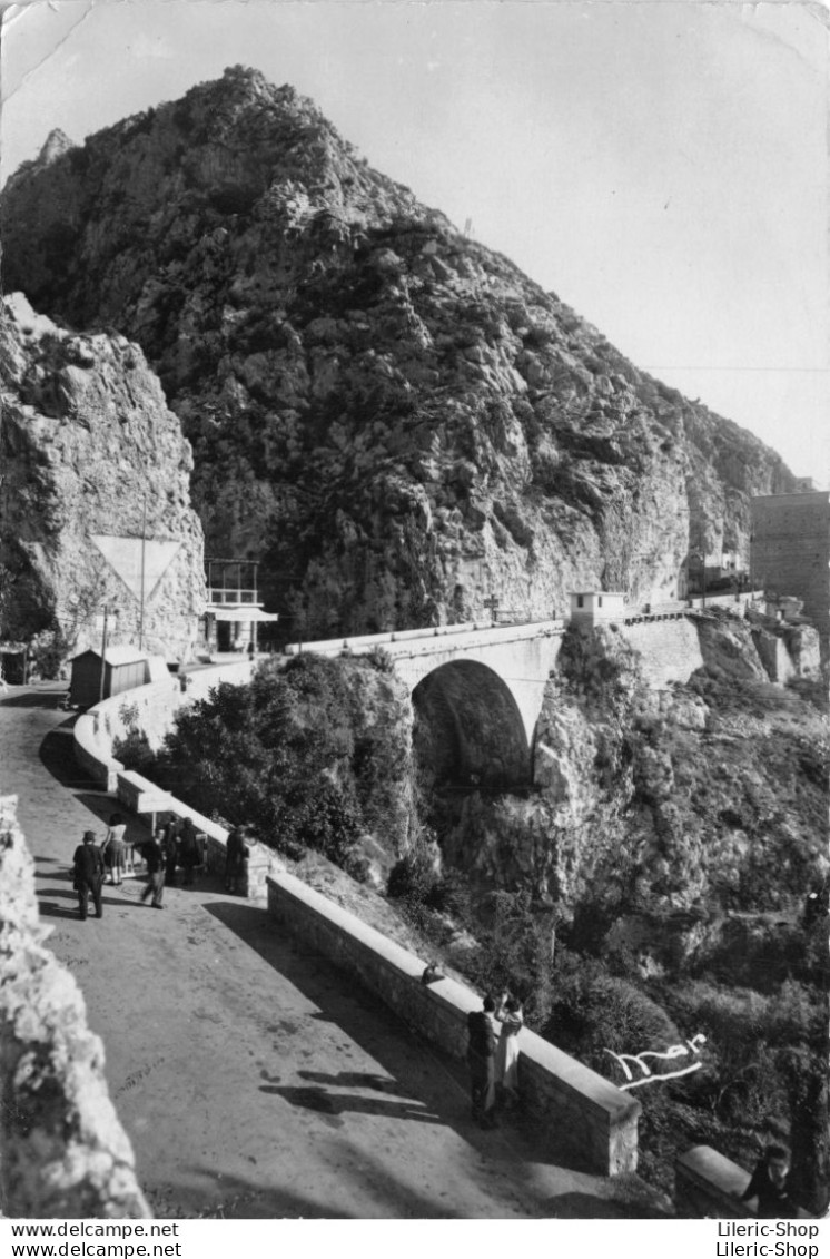 [66] MENTON -  LE PONT SAINT LOUIS Cpsm GF Dentelée 1948 - Menton