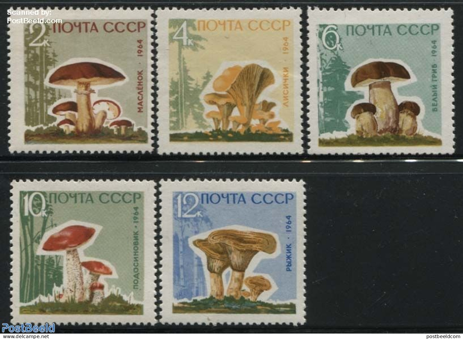 Russia, Soviet Union 1964 Mushrooms 5v Lacked Paper, Mint NH, Nature - Mushrooms - Neufs