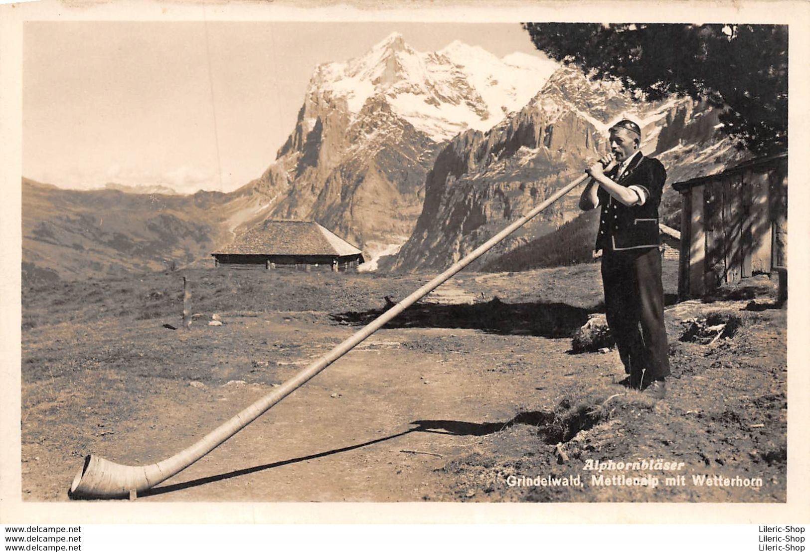 SUISSE SCHWEIZ►BE - ALPHORNBLÄSER GRINDELWALD METTLENALP MIT WETTERHORN Cpsm PF ± 1960 ♦♦♦ - Grindelwald