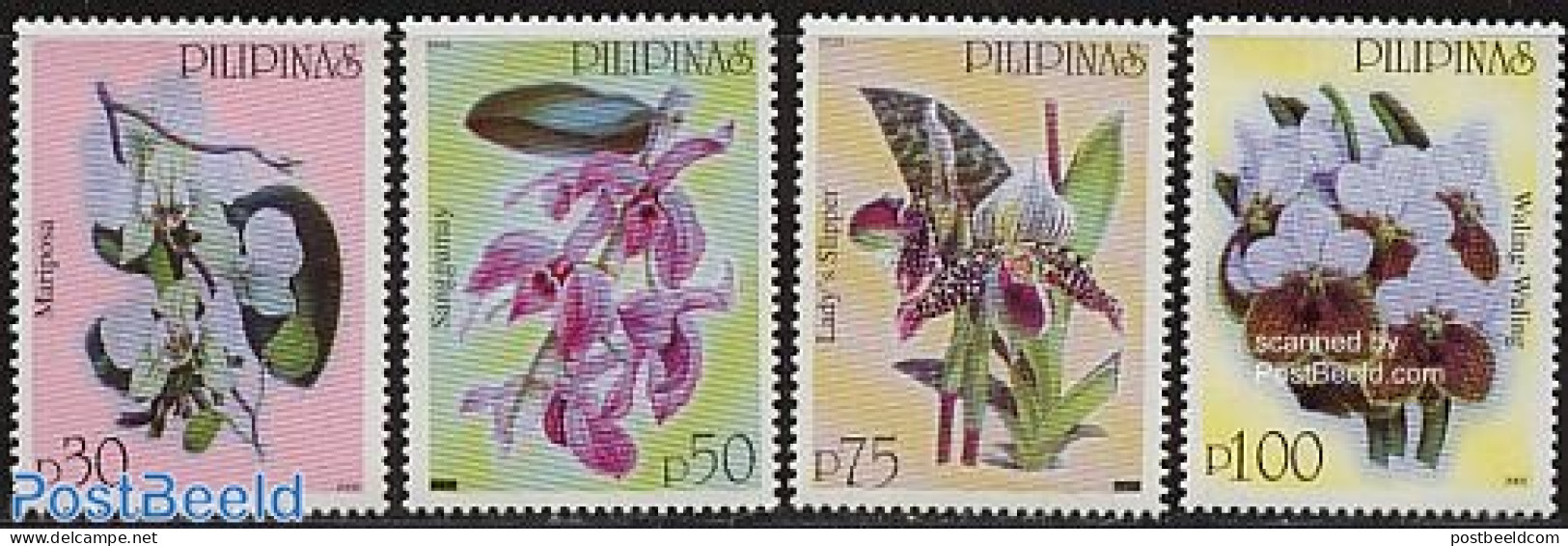 Philippines 2003 Orchids 4v (year 2003), Mint NH, Nature - Flowers & Plants - Orchids - Philippinen