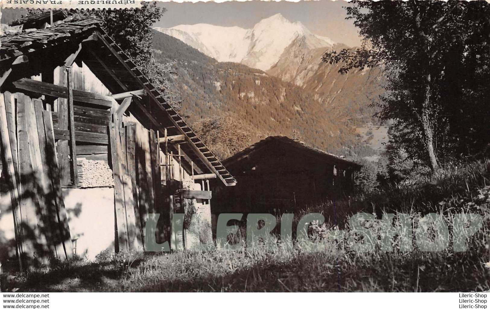 SAINT-GERVAIS (74) PHOTO FUMEX 1955 Format Carte Postale (140x89) Chalet Savoyard Et Chaîne Du Mont-Blanc - Saint-Gervais-les-Bains