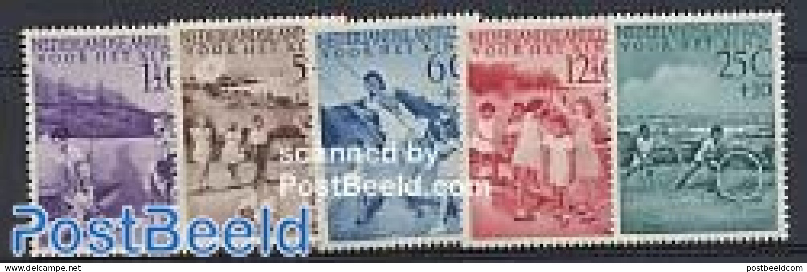 Netherlands Antilles 1951 Yearset 1951 (5v), Mint NH, Various - Yearsets (by Country) - Unclassified