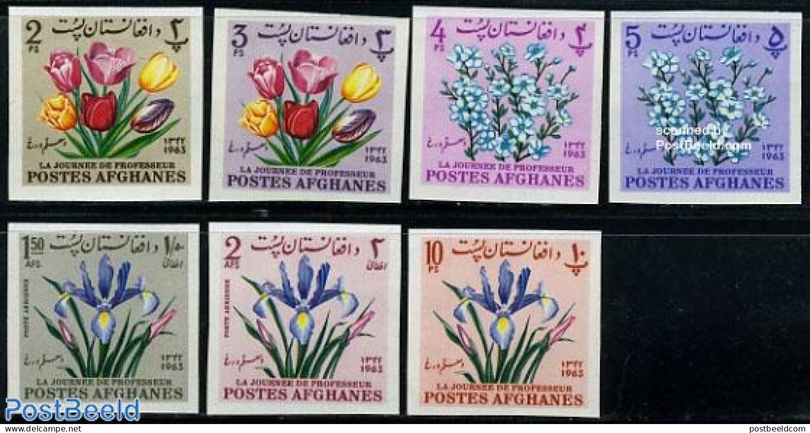 Afghanistan 1964 Teachers Day, Flowers 7v Imperforated, Mint NH, Nature - Science - Flowers & Plants - Education - Afghanistan