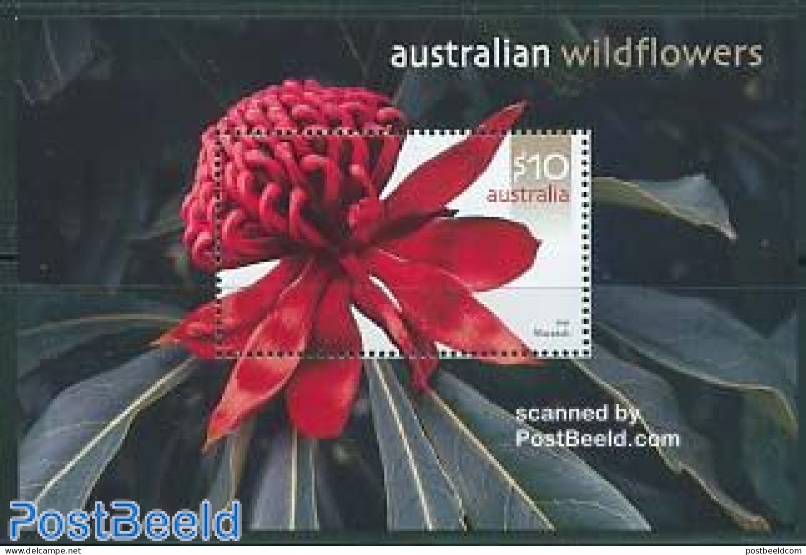 Australia 2006 Wild Flower S/s, Mint NH, Nature - Flowers & Plants - Unused Stamps