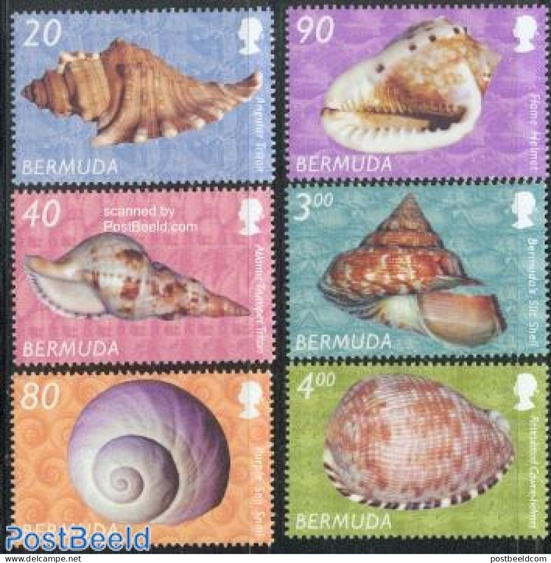 Bermuda 2003 Definitives, Shells 6v, Mint NH, Nature - Shells & Crustaceans - Vie Marine