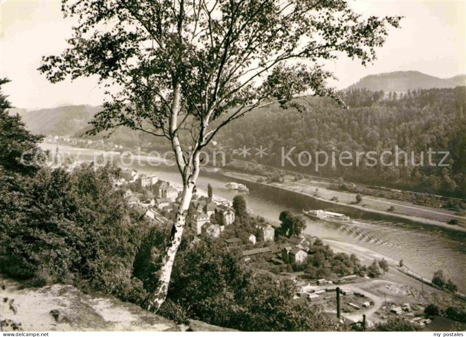 72639521 Bad Schandau Blick Ueber Die Elbe Bad Schandau - Bad Schandau