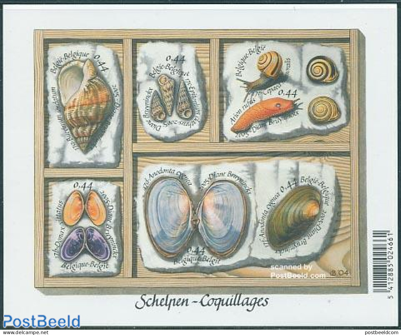 Belgium 2005 Shells S/s, Mint NH, Nature - Shells & Crustaceans - Neufs