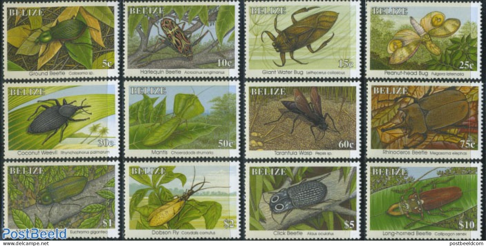 Belize/British Honduras 1995 Insects 12v, Without Year, Mint NH, Nature - Insects - Britisch-Honduras (...-1970)