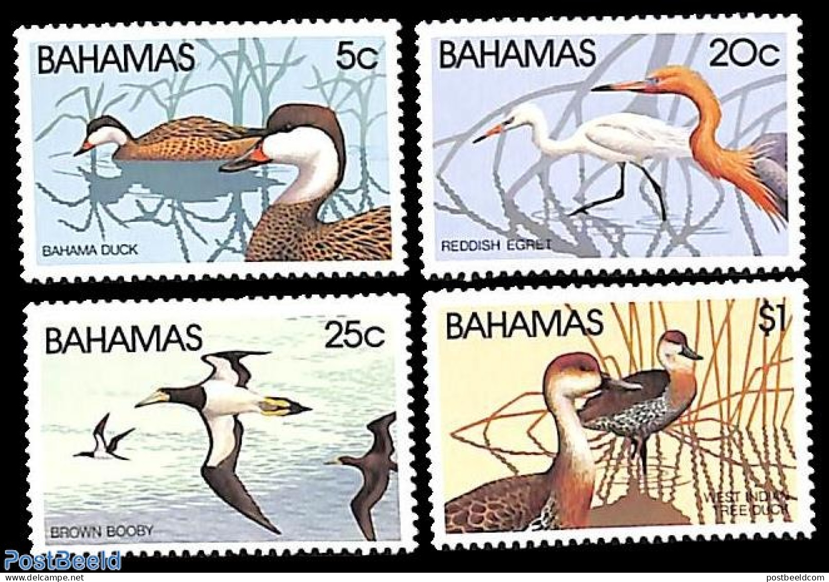 Bahamas 1981 Birds 4v, Mint NH, Nature - Birds - Ducks - Other & Unclassified