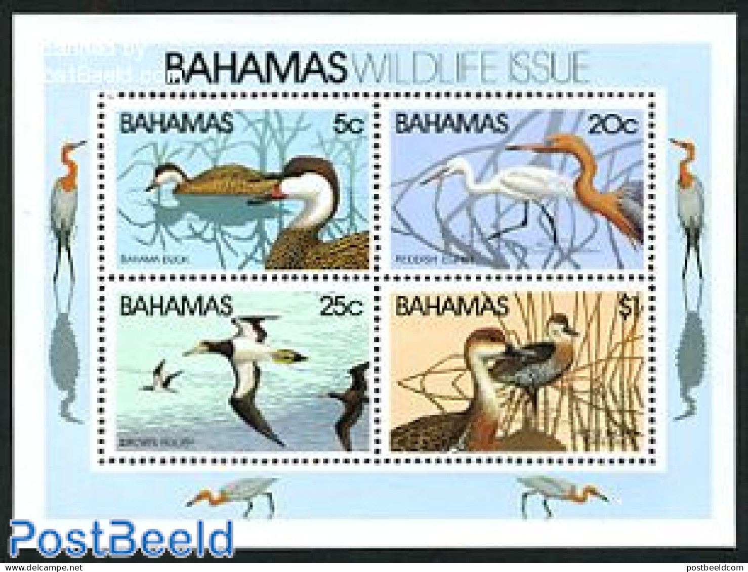 Bahamas 1981 Birds S/s, Mint NH, Nature - Birds - Ducks - Andere & Zonder Classificatie
