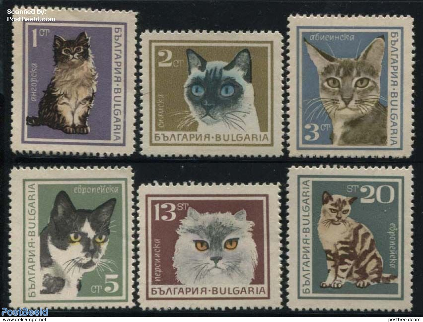 Bulgaria 1967 Cats 6v, Mint NH, Nature - Cats - Neufs
