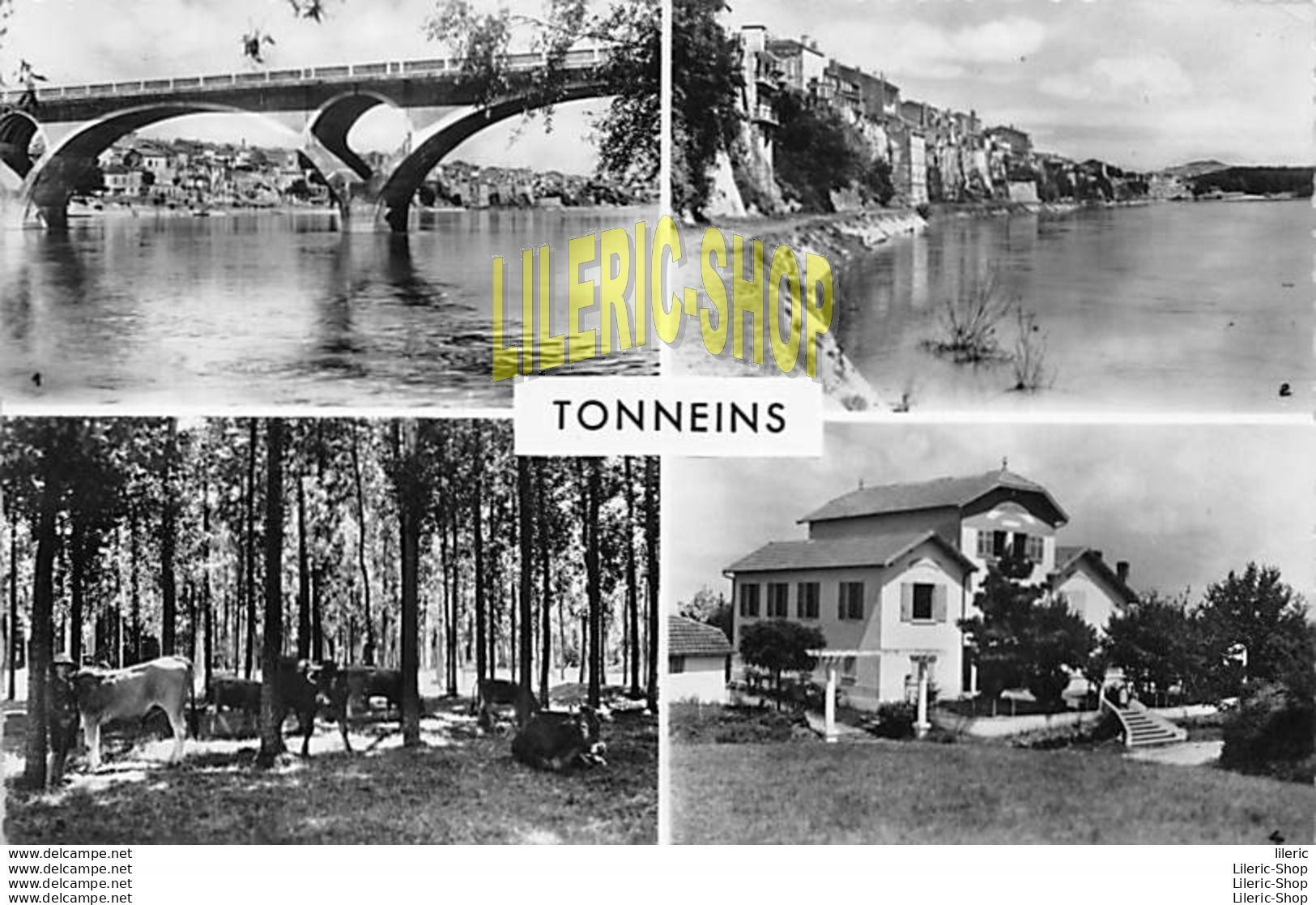 TONNEINS (47) Vue Des Quais  Les Quais Forêt De Peupliers Route D'Aiguillon Poville Centre Bon-Accueil  NARBO ÉD - Tonneins