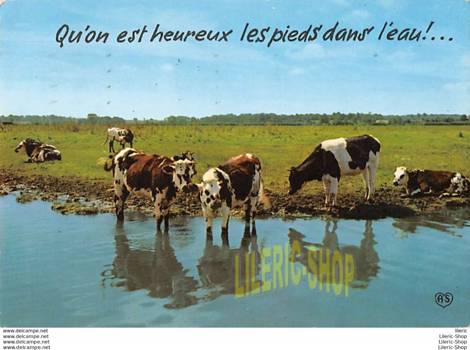 CPSM 1971 QU'ON EST HEUREUX LES PIEDS DANS L'EAU # VACHES # HUMOUR # CACHET POSTAL ST-BRÉVIN LES PINS - Vaches