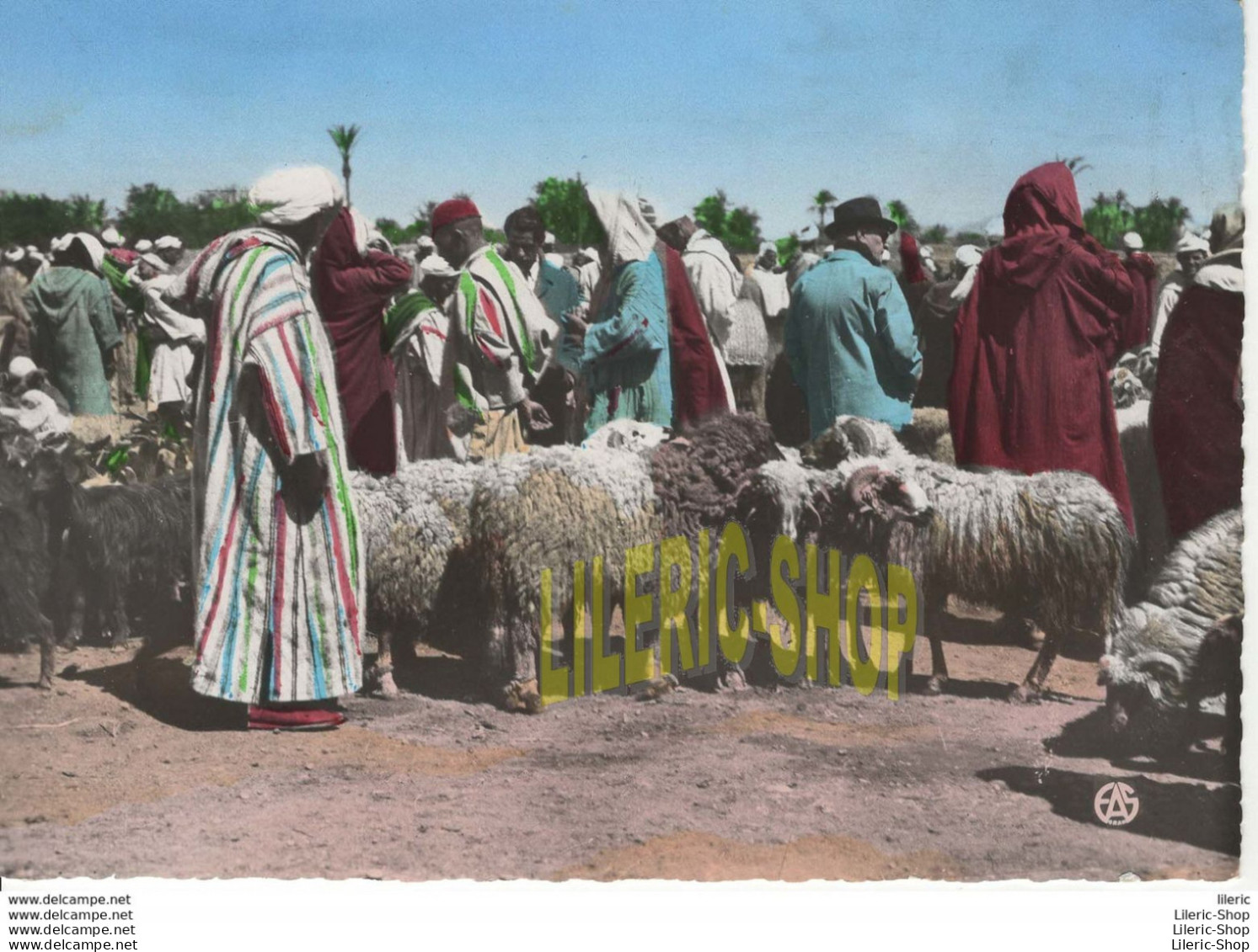 SCENES & TYPES D'AFRIQUE DU NORD - LES SOUKS - LE MARCHÉ AUX MOUTONS- ÉD. A.SIRECKY - Scenes