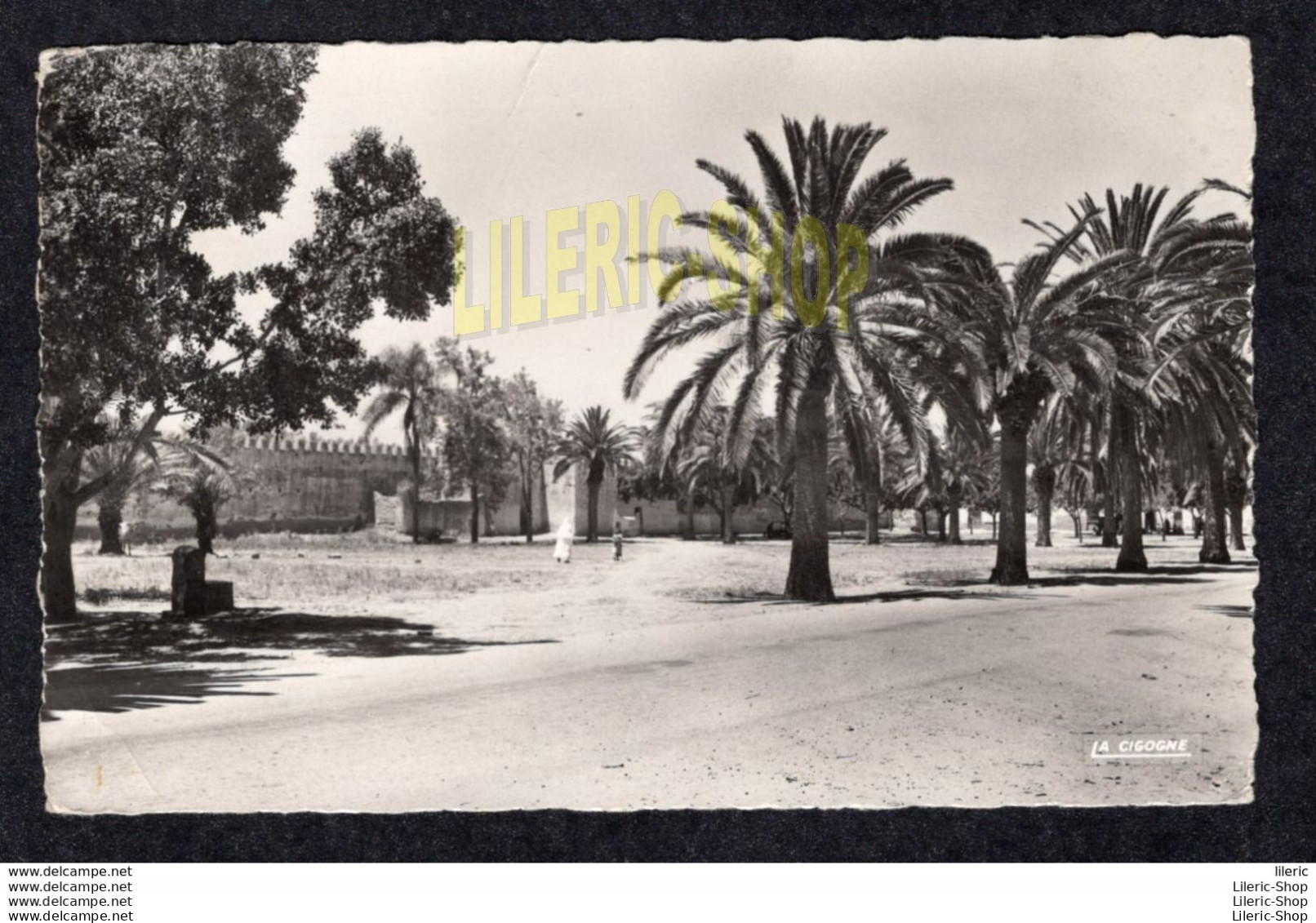 SAIDA En 1955 ▬ LA VIEILLE PLACE - EDITION LA CIGOGNE 95.533.06 - Saïda