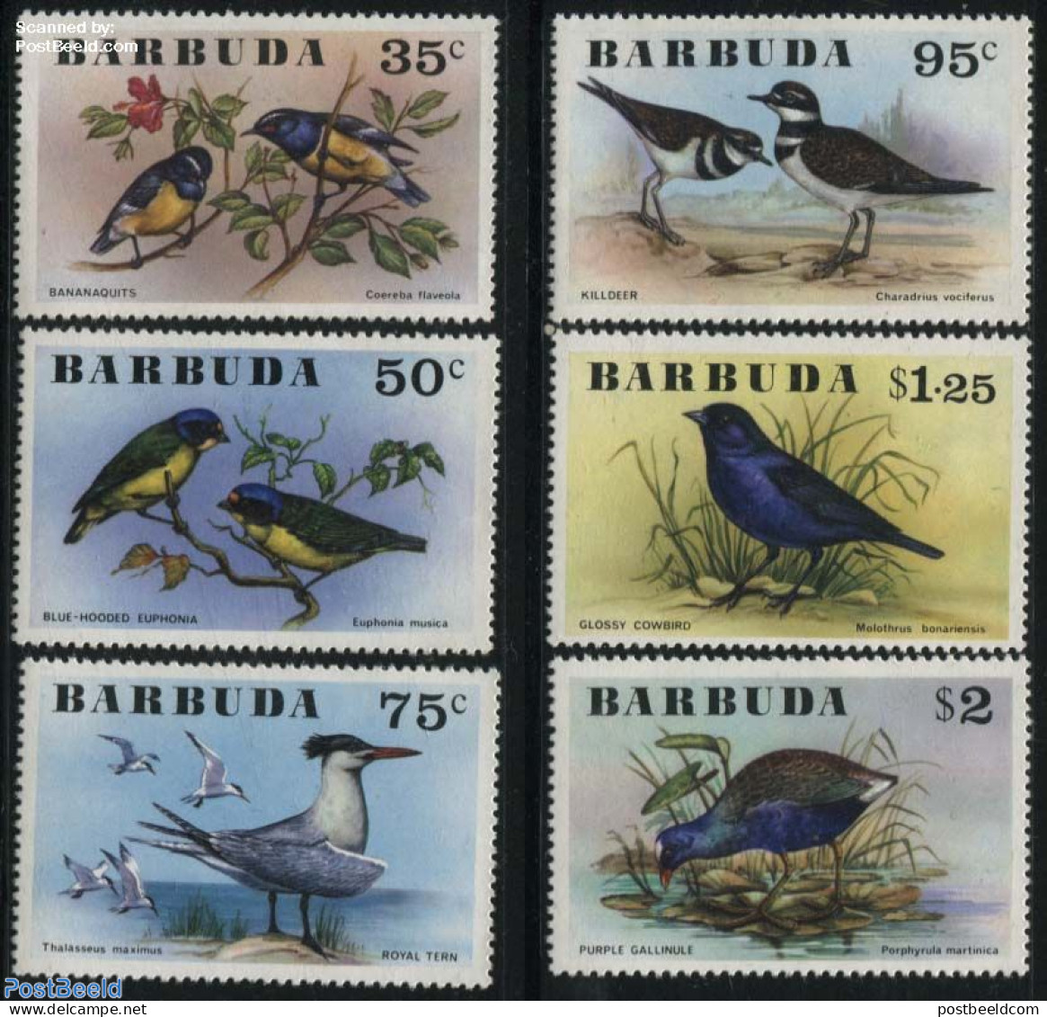 Barbuda 1976 Birds 6v, Mint NH, Nature - Birds - Barbuda (...-1981)