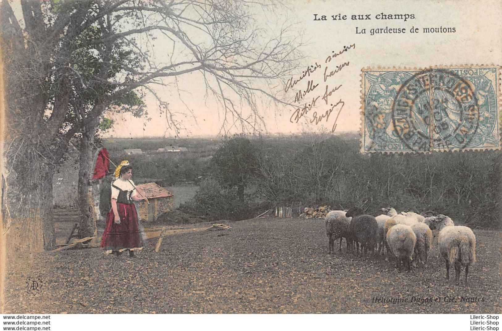 Cpa 1905 LA VIE AUX CHAMPS La Gardeuse De Moutons ▬ Série A Dugas Et Cie - Elevage