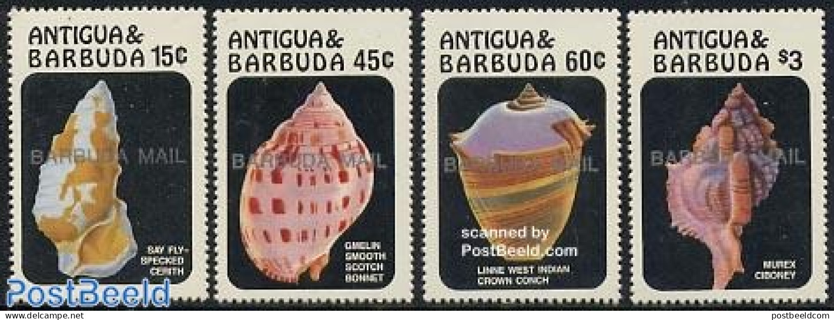 Barbuda 1986 Shells 4v, Mint NH, Nature - Shells & Crustaceans - Vie Marine