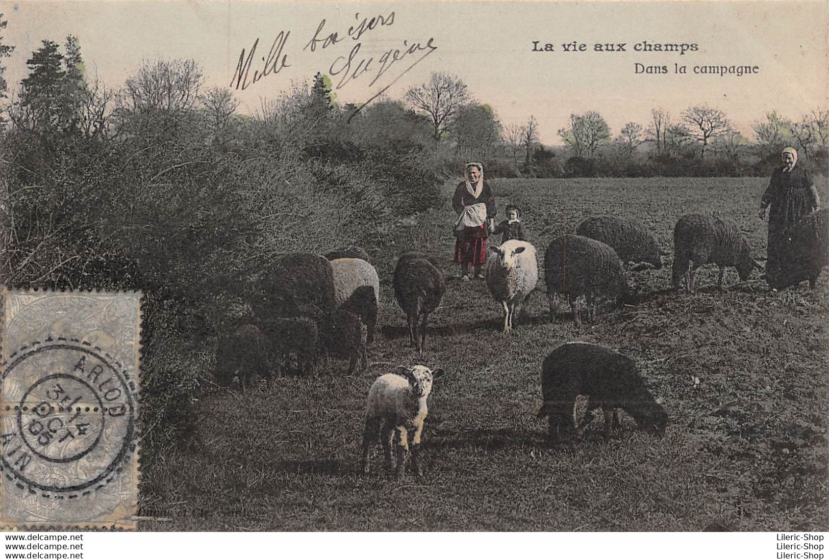 Cpa 1905 LA VIE AUX CHAMPS Dans La Campagne Gardeuses De Moutons Bergères ▬ Série B Dugas Et Cie - Viehzucht