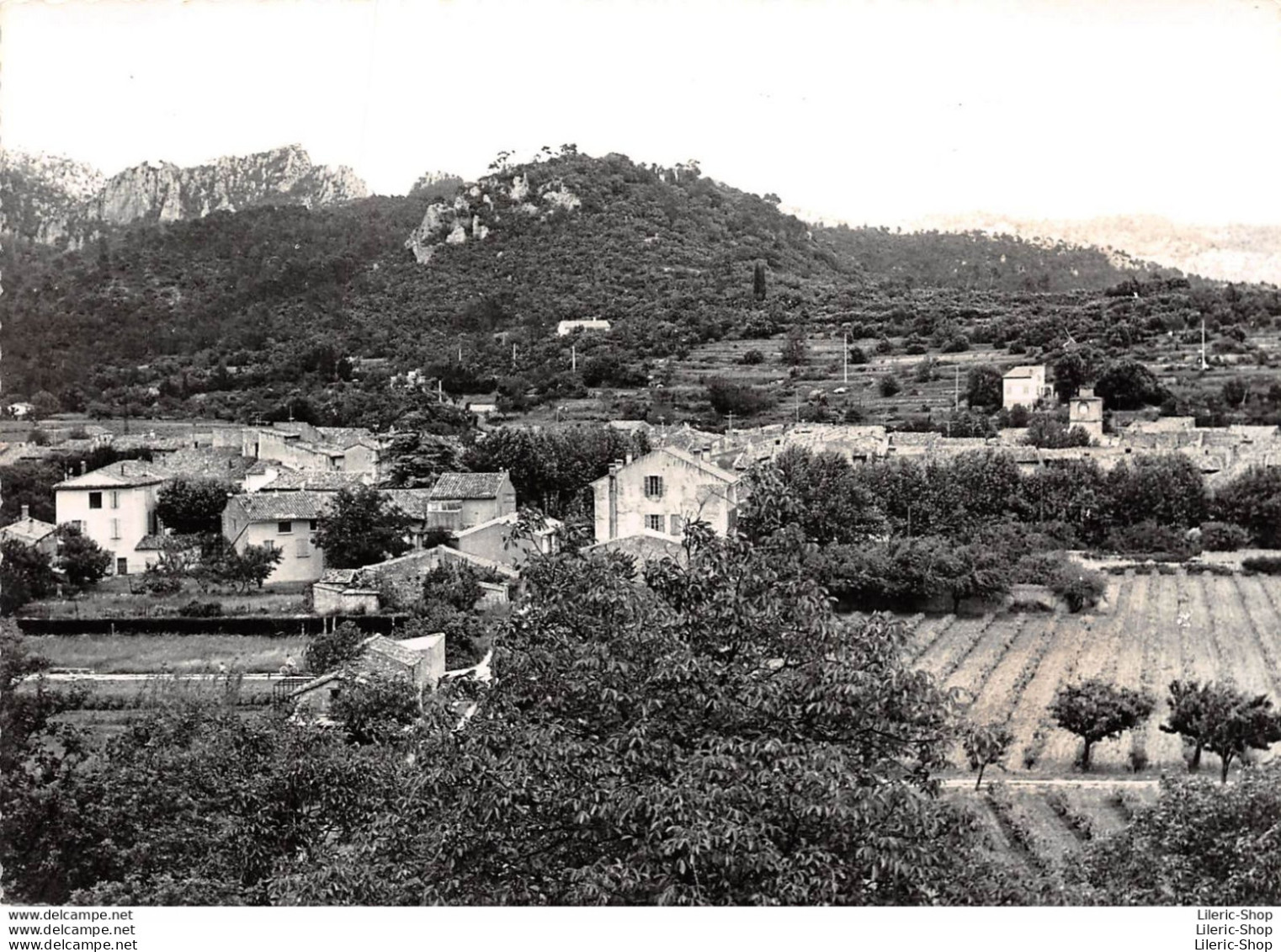 LA ROQUEBRUSSANNE (83) Cpsm ± 1960►VUE GÉNÉRALE►R. CAUJOLLE PHOTOGRAPHE-ÉDITEUR - La Roquebrussanne