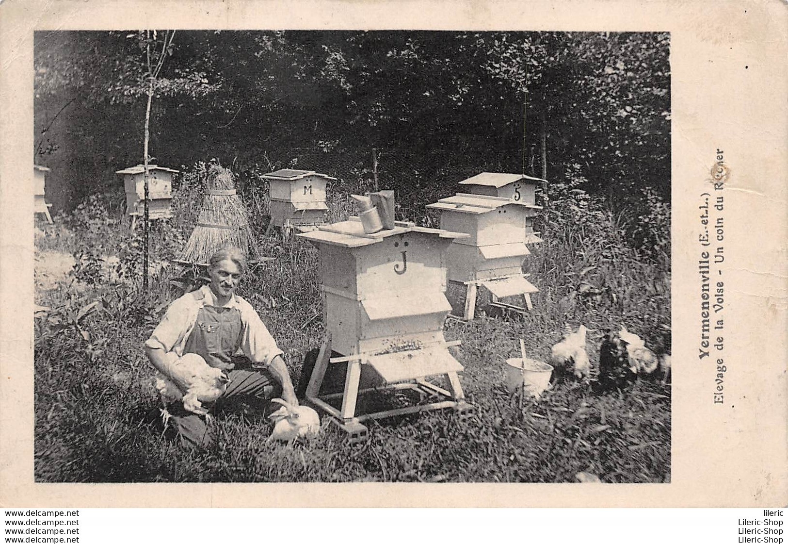 YERMENONVILLE (28) - Apiculteur  # Apiculture- Élevage De La Voise - Un Coin Du Rucher - Cpa ±1930 - Elevage