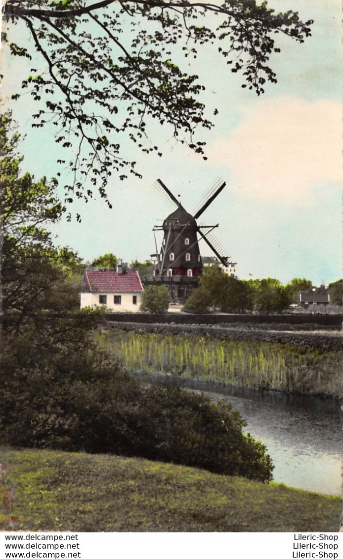 VINTAGE POSTCARD 1959 -  MALMÖ - Slottsmöllan - The Mill En Castle Park - Moulin - Suède