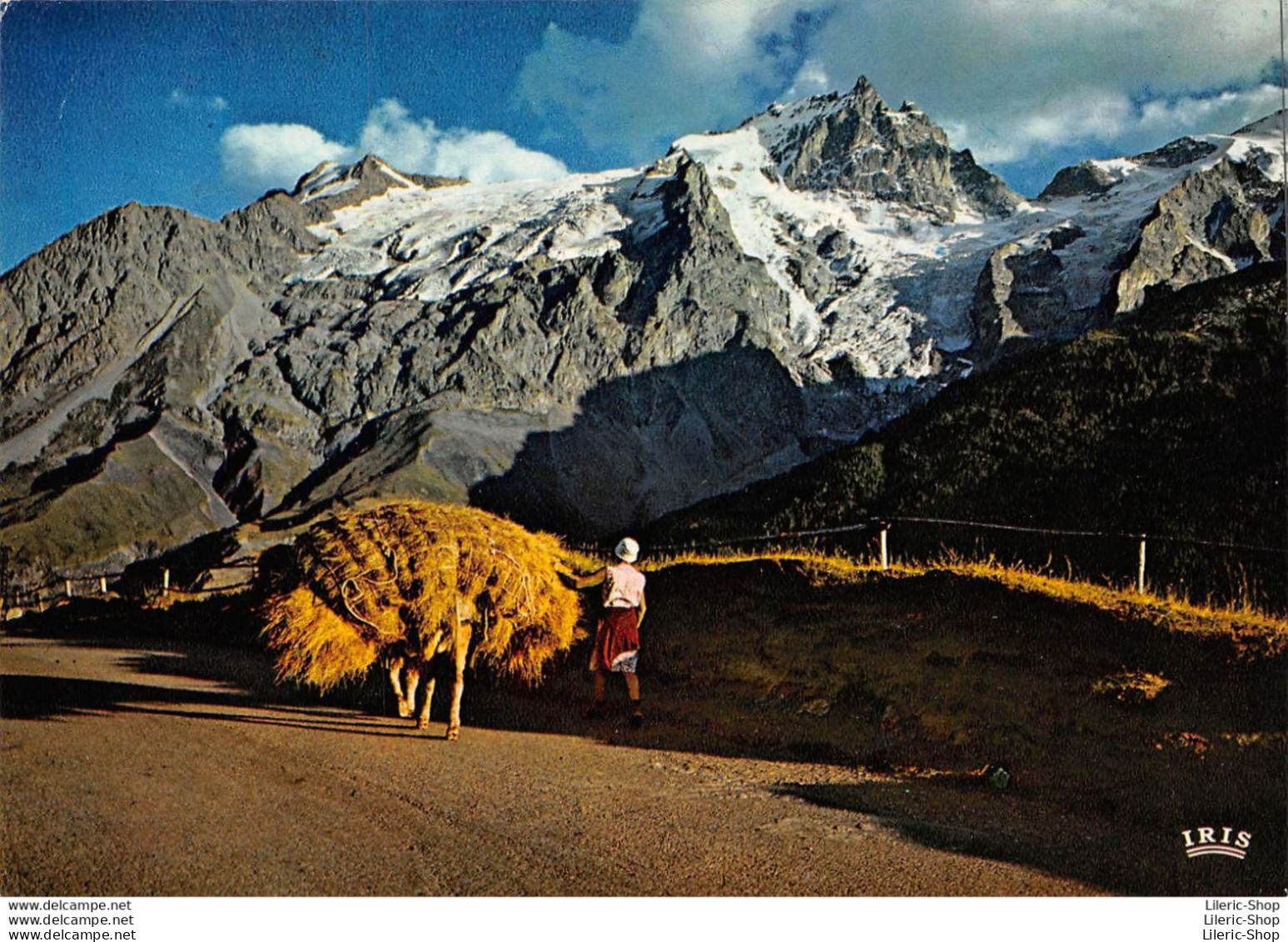 CPM 1998 -  Retour Des Foins Et Massif De LA  MEIJE (05) - ÉD. CAP - Sonstige & Ohne Zuordnung