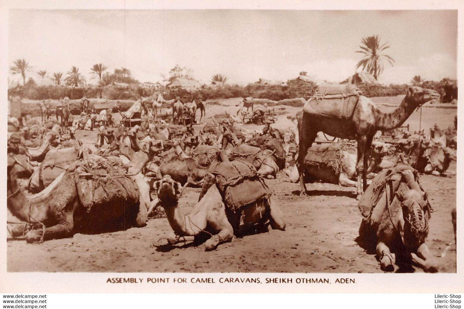 CPA Aden ± 1930 - Assembly Point For Camel Caravans- Sheikh Othman - Photographed By A. ABASSI - Yémen