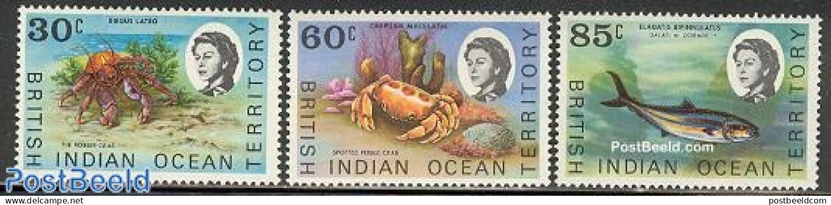 British Indian Ocean 1970 Definitives, Marine Life 3v, Mint NH, Nature - Fish - Shells & Crustaceans - Crabs And Lobst.. - Poissons