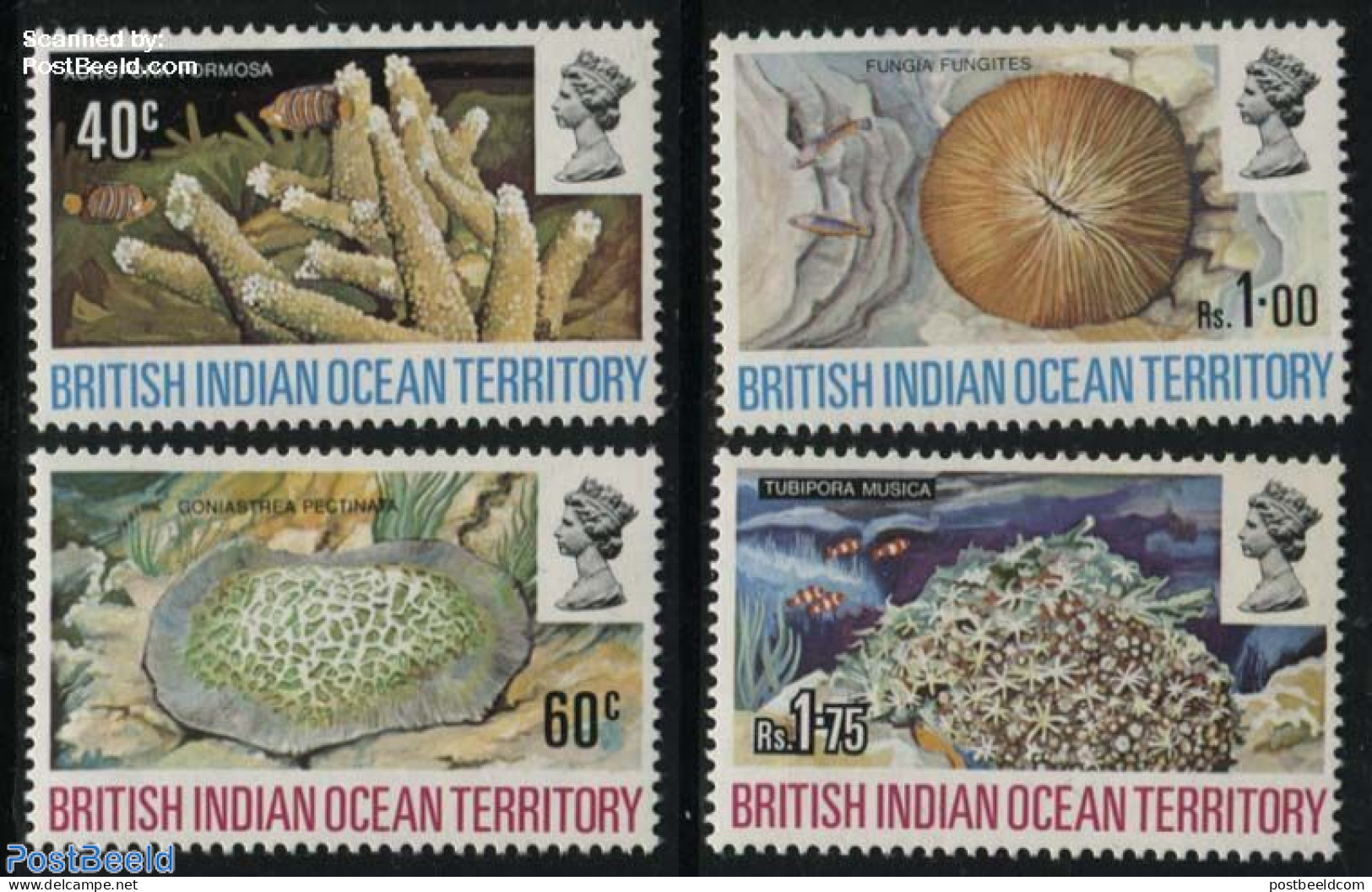 British Indian Ocean 1972 Corals 4v, Mint NH, Nature - Shells & Crustaceans - Marine Life