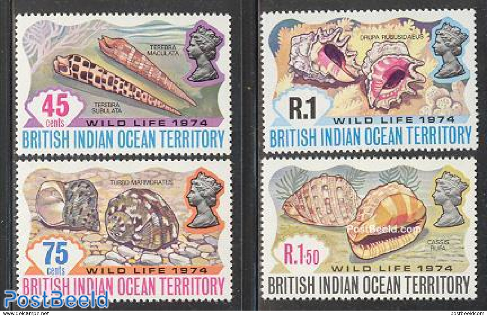 British Indian Ocean 1974 Shells 4v, Mint NH, Nature - Shells & Crustaceans - Mundo Aquatico