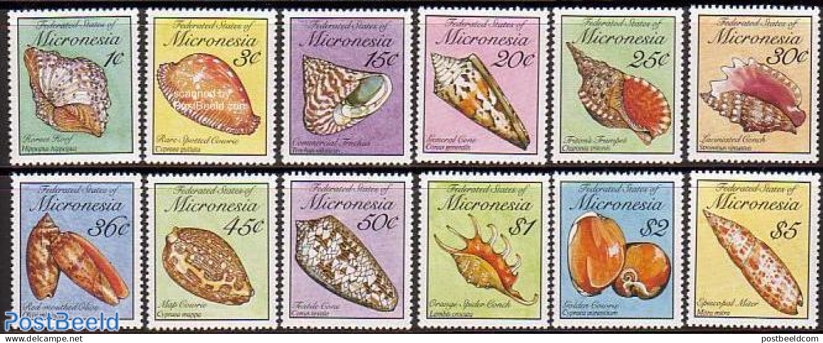 Micronesia 1989 Shells 12v, Mint NH, Nature - Shells & Crustaceans - Marine Life