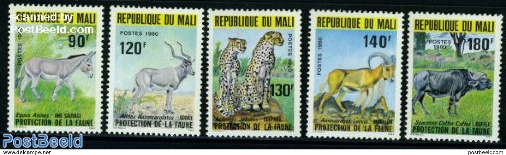Mali 1980 Endangered Animals 5v, Mint NH, Nature - Animals (others & Mixed) - Cat Family - Mali (1959-...)