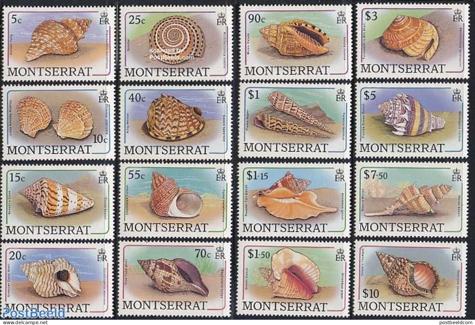Montserrat 1988 Shells 16v, Mint NH, Nature - Shells & Crustaceans - Vie Marine