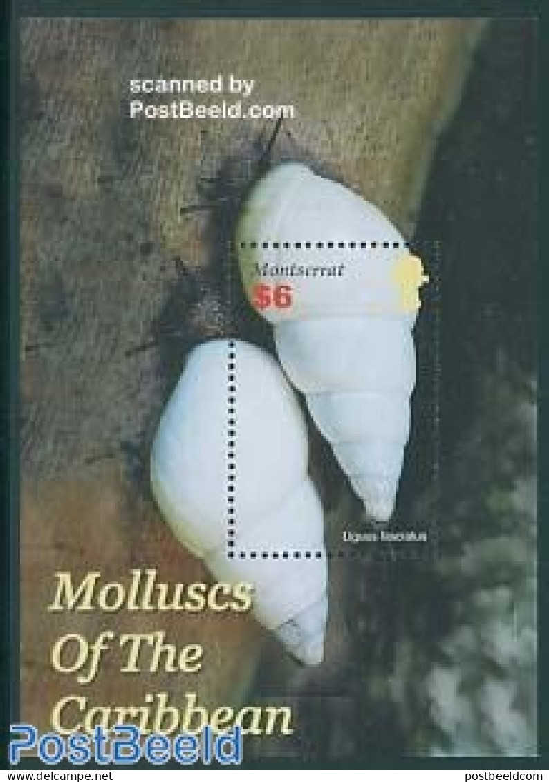 Montserrat 2005 Molluscs Of The Caribbean S/s, Mint NH, Nature - Shells & Crustaceans - Vie Marine