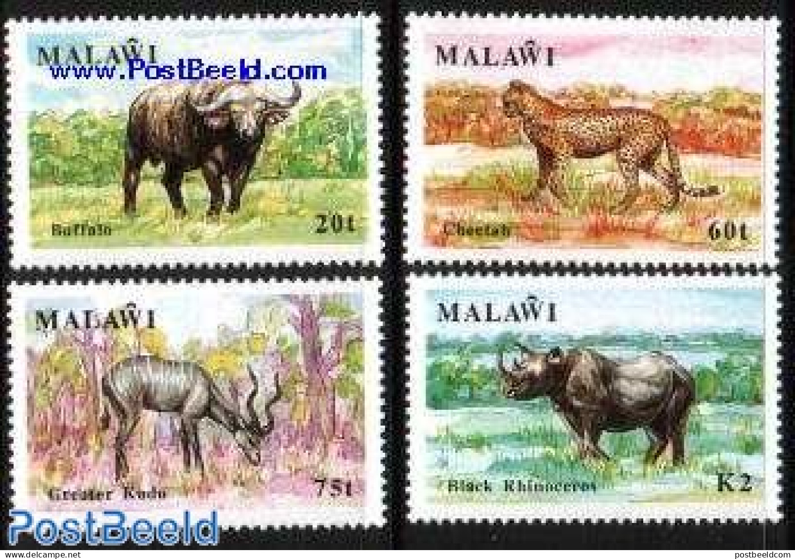 Malawi 1991 Wildlife 4v, Mint NH, Nature - Animals (others & Mixed) - Cat Family - Rhinoceros - Malawi (1964-...)