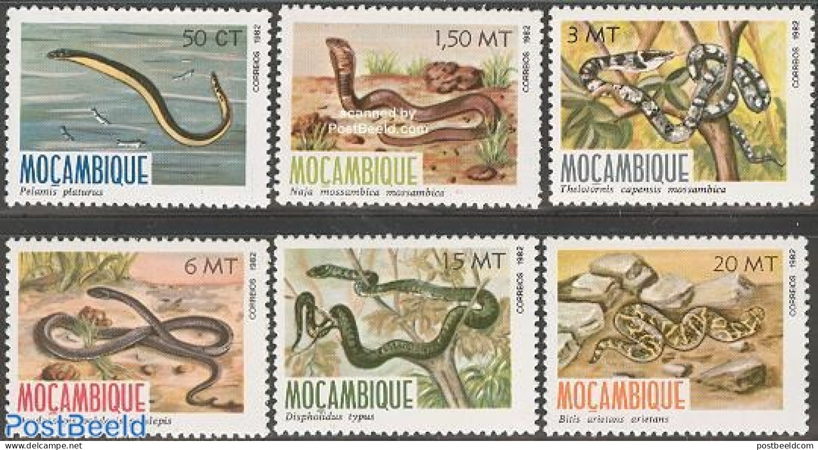 Mozambique 1982 Snakes 6v, Mint NH, Nature - Reptiles - Snakes - Mozambique