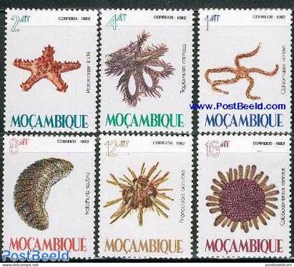 Mozambique 1982 Marine Life 6v, Mint NH, Nature - Shells & Crustaceans - Vie Marine