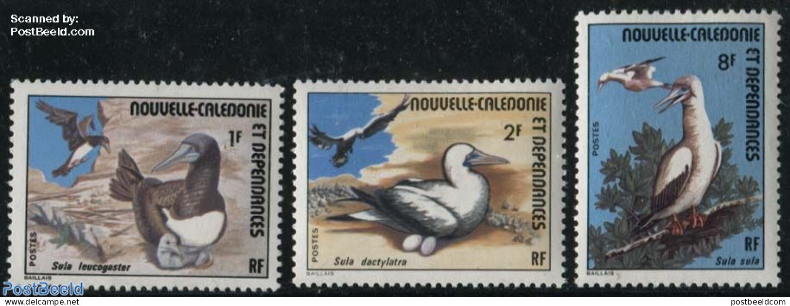 New Caledonia 1976 Sea Birds 3v, Mint NH, Nature - Birds - Unused Stamps