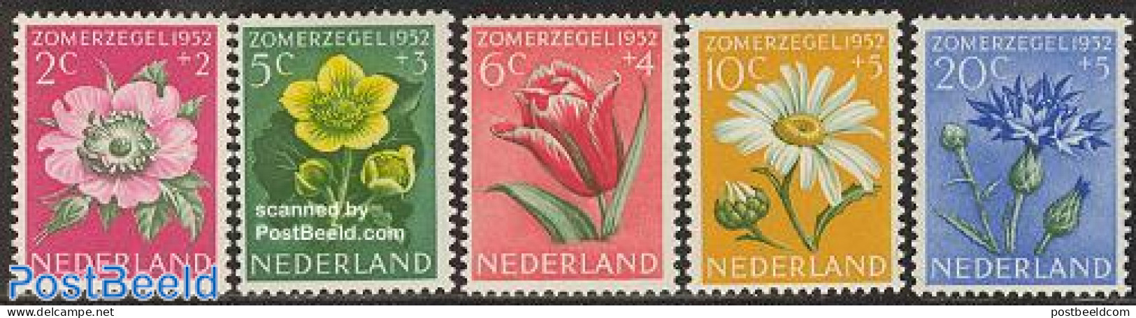 Netherlands 1952 Summer, Flowers 5v, Mint NH, Nature - Flowers & Plants - Unused Stamps