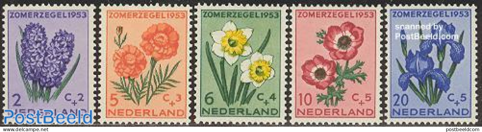 Netherlands 1953 Summer, Flowers 5v, Mint NH, Nature - Flowers & Plants - Neufs