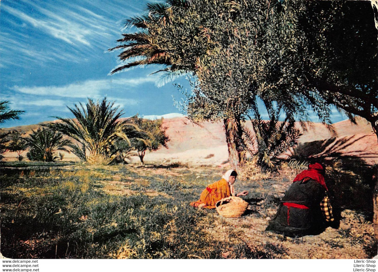 AMORA Prospection - ESCALE EN TUNISIE Gafsa - Ramassage Des Olives Timbrée Oblitérée 1969  - Advertising