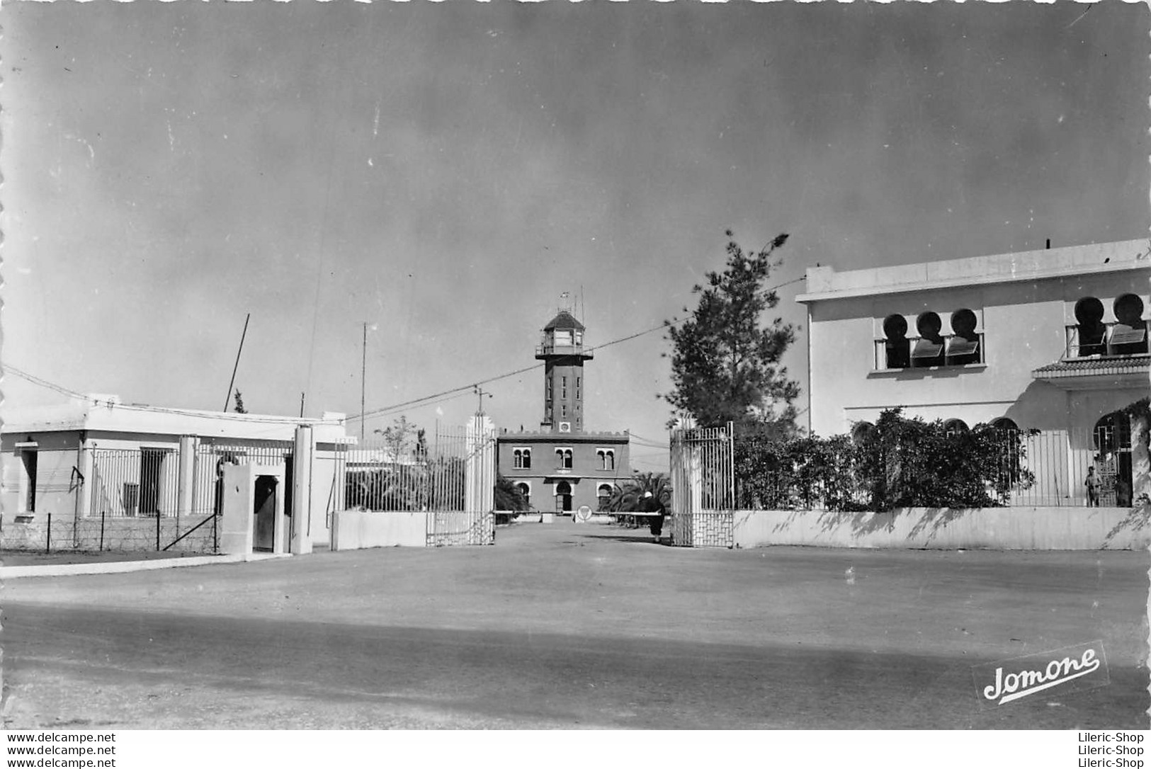 105 - BLIDA Cpsm 1956 -  La Base D'Aviation -  Edition JOMONE - Blida