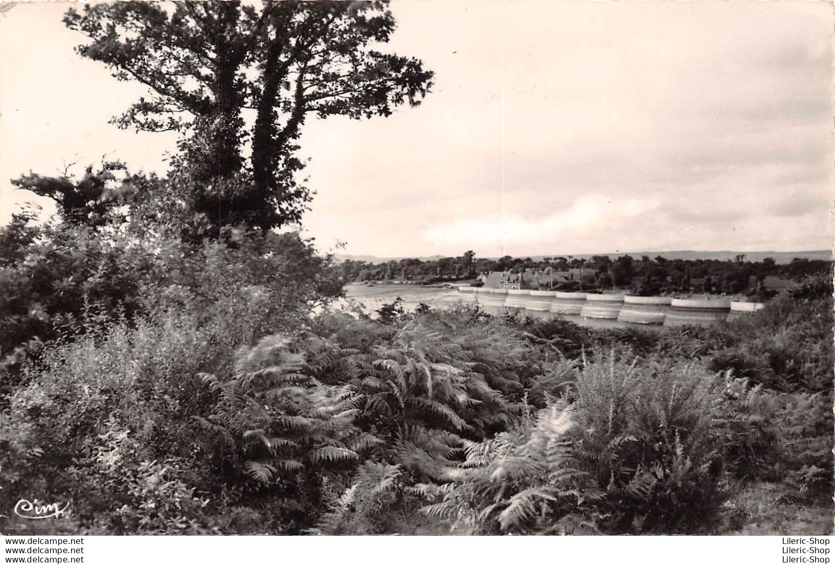 BRENNILIS (Finistère) Cpsm 1960 - 1 - Barrage De Nestavel-bian - COMBIER IMP. MACON - Timbre Jean Bouin J.O ROME - Sonstige & Ohne Zuordnung