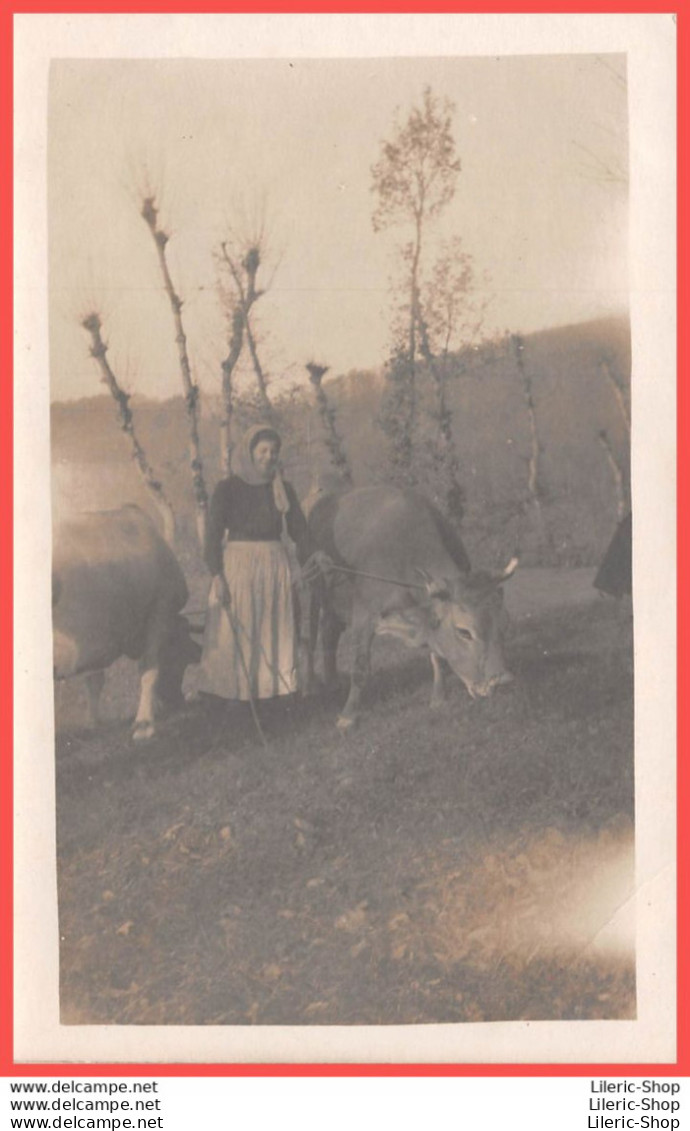 Carte-Photo Non Située Fermière Paysanne Gardant Ses Vaches - Vaches