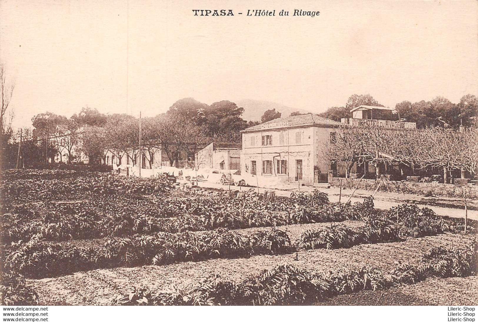 Cpa 1926 Tipasa - Hôtel Du Rivage - Édit. " Les Guides Du Tourisme Automobile "  - Other & Unclassified