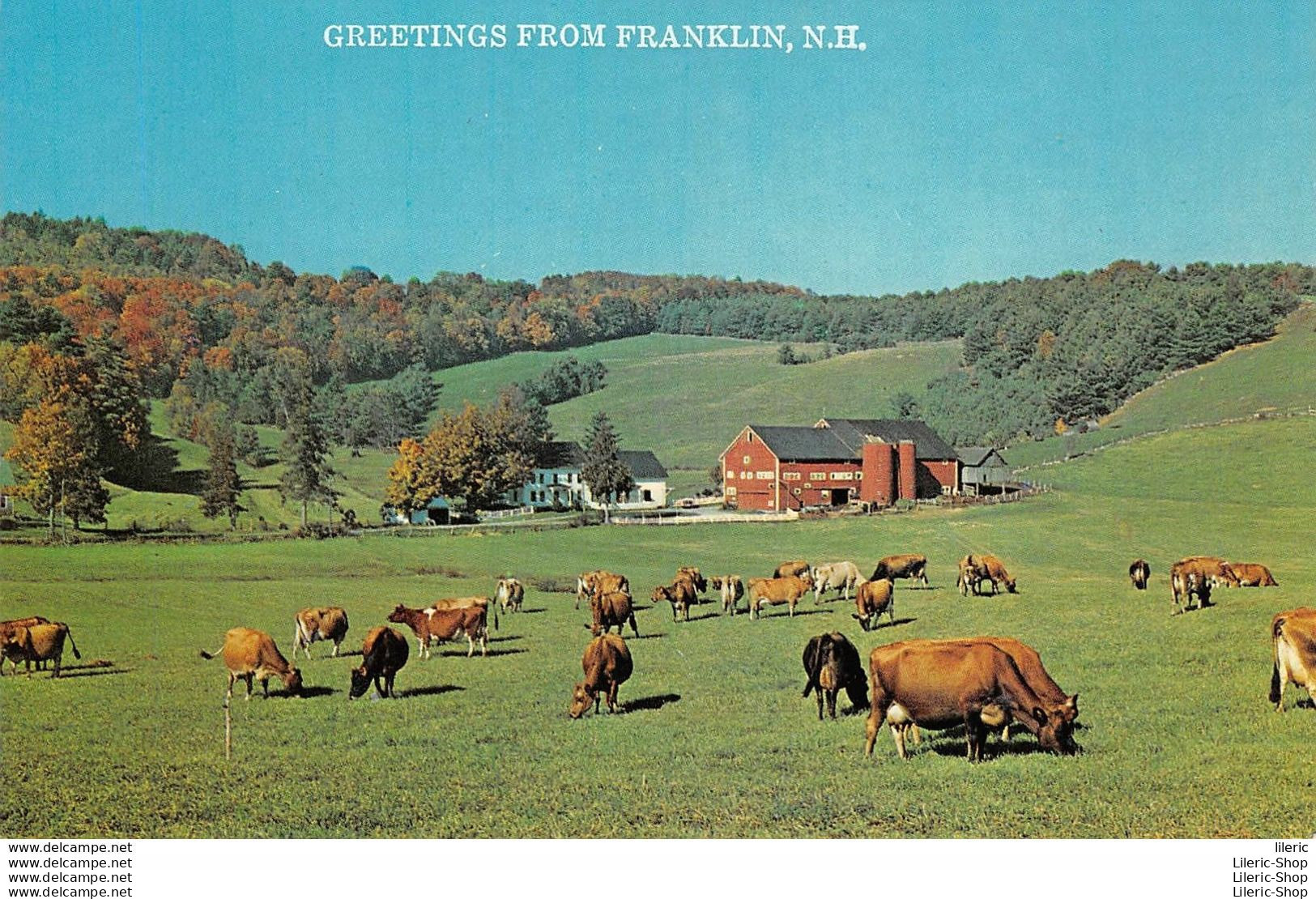 US POSTCARD # Cows Out To Pasture And Another Day Begins On The Farm. Photo By Free Lance Photographers Guild,  - Vaches